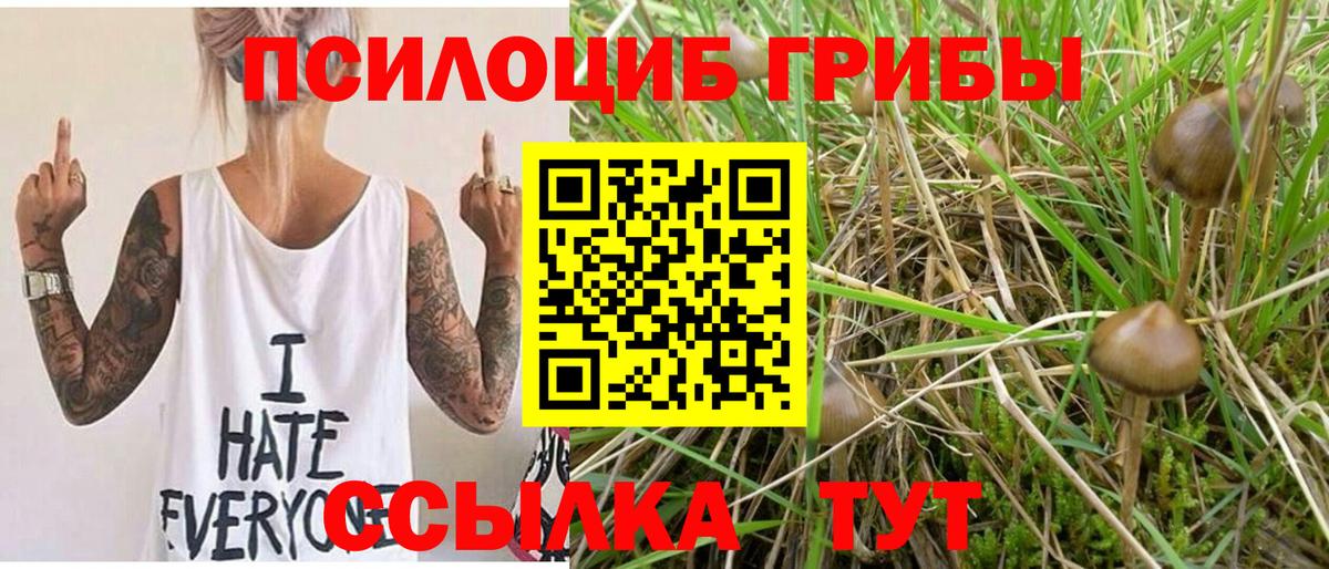 Скопин  купить наркотик  Вход с VPN  Псилоцибиновые грибы Magic Shrooms 