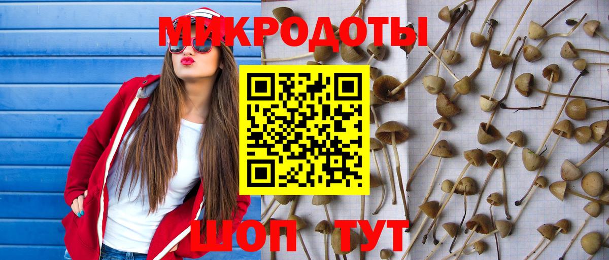 Псилоцибиновые грибы Cubensis Скопин